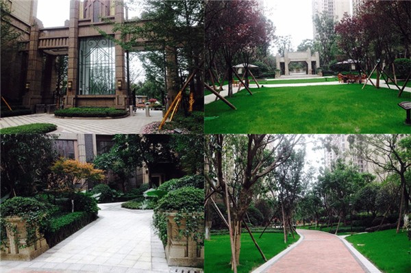 桐梓林壹號工程案例 桐梓林壹號工程案例